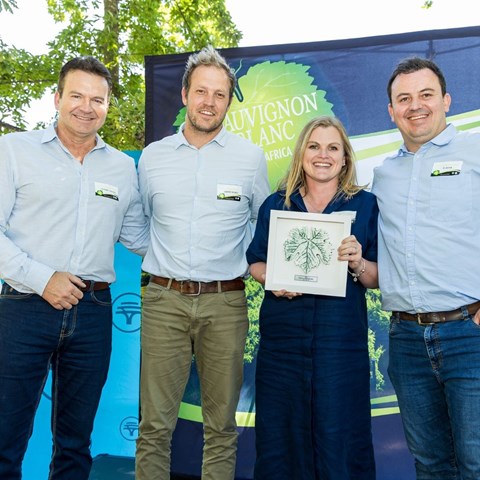 Diemersdal makes it seven in a row at Sauvignon Blanc Top 10 Awards ...