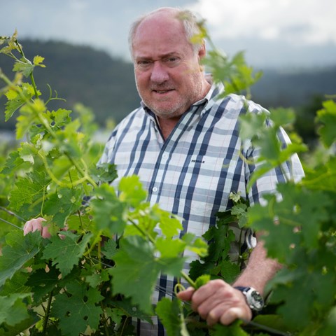 Neil Ellis: Elgin living legend | wine.co.za