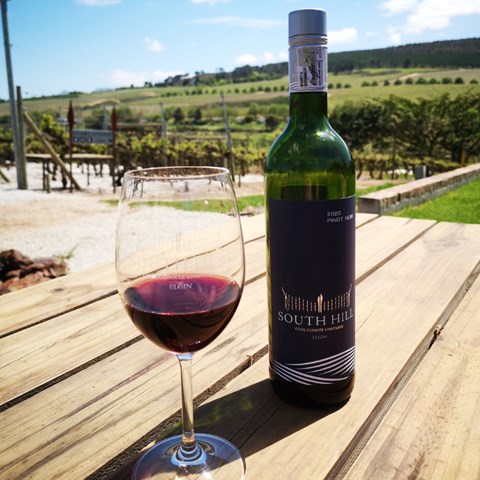 10 Things to do in the Elgin Valley | wine.co.za
