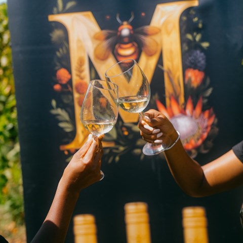Moedi Wines to champion beekeeping in rural South Africa at ProWein ...