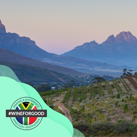 #WINEFORGOOD: Spreading good news from around the South African ...