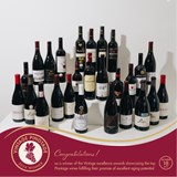 Absa Vintage Awards of Excellence 2024: Showcasing the aging potential of South African Pinotage