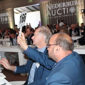 2017 Nederburg Auction (43)
