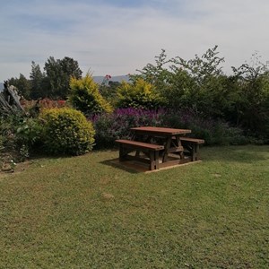 Mellasat bench in the garden