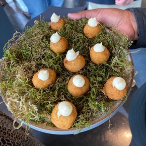Canapes at Pinch of Salt Launch
