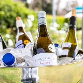 Sauvignon Blanc wines for tasting at the Sauvignon Blanc Rolbaldag 2024