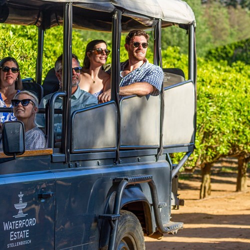 waterford wine drive safari