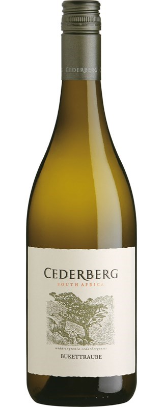 Cederberg Bukettraube 2016