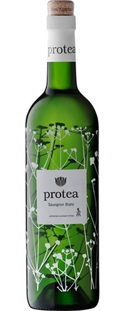 Protea Sauvignon Blanc 2019