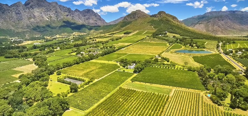 A guide to South Africa's beautiful Cape Winelands | wine.co.za
