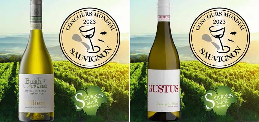 Best sauvingnon blancs 2023 from New Zealand, South Africa and